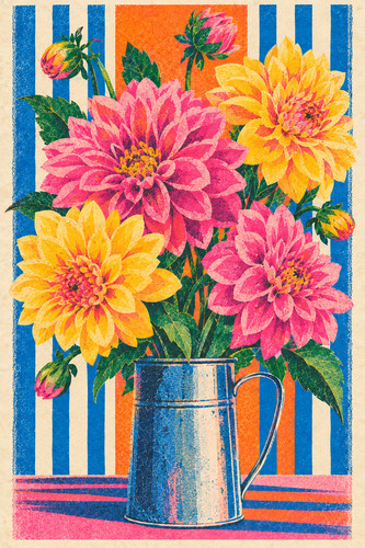 Dahlias a tin risograph - dahlias, in