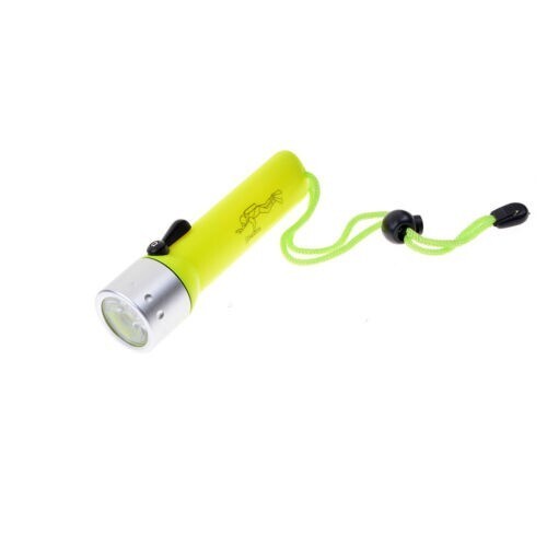 Professional led diving - professional,