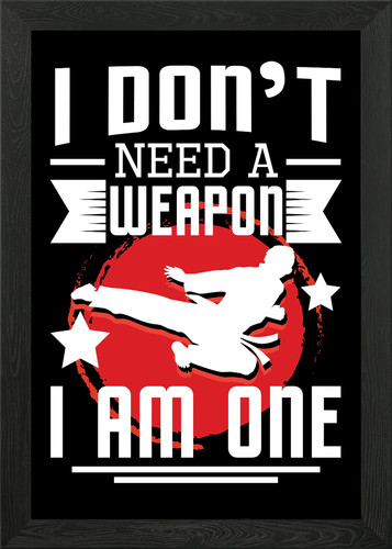 Martial arts weapon - a,