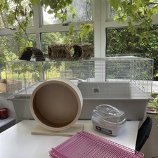 Large Pets at Home Habitat 3