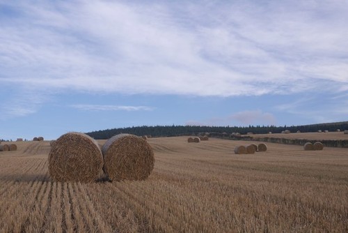 Photo 6x4 round bales - 6x4,