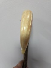 Rams Horn Shepherds Crook