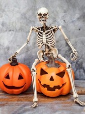 Human Skeleton Full Life Size Poseable Halloween Party Prop Haunted House Decor