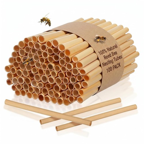 100 pack natural reed - natural, bee