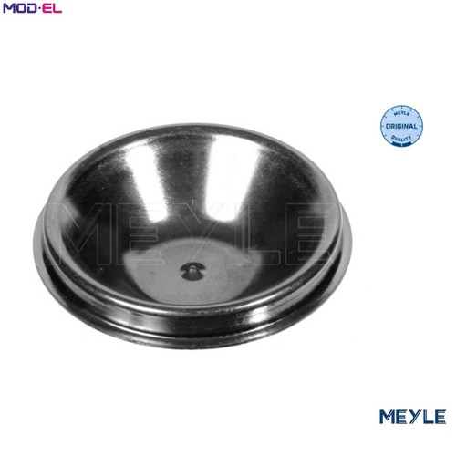 Cap wheel bearing - cap, 300