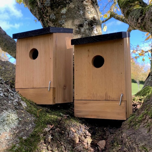 Wooden bird nesting box nest - bird,