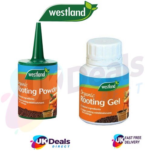 New organic plant rooting - plant,