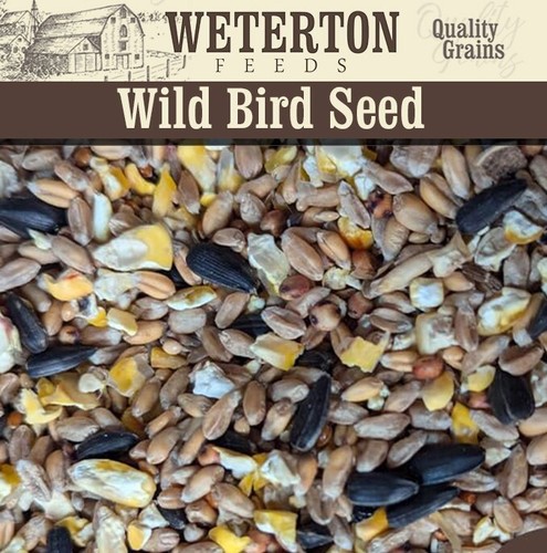 Premium all season wild bird - premium, all‑season
