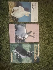 Essential Rabbit Care