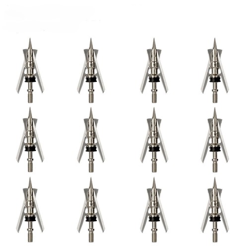Raging archery point 100gr - ,