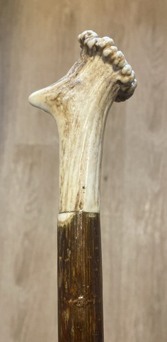 Stag horn thumb walking stick - stag,