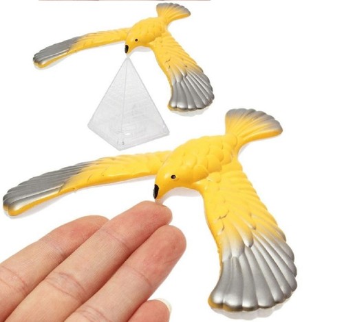 Magic balancing bird - bird, science