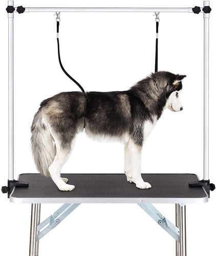Professional dog pet grooming - professional,