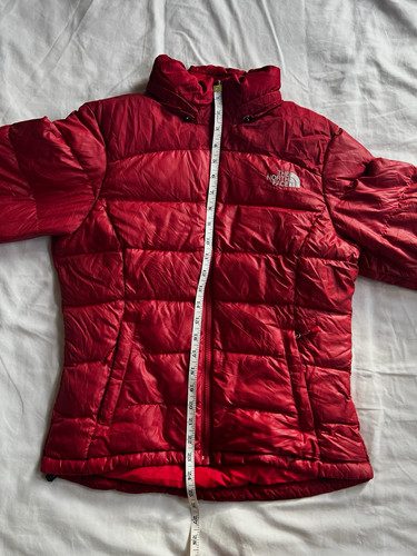 The north face 700 down - north,
