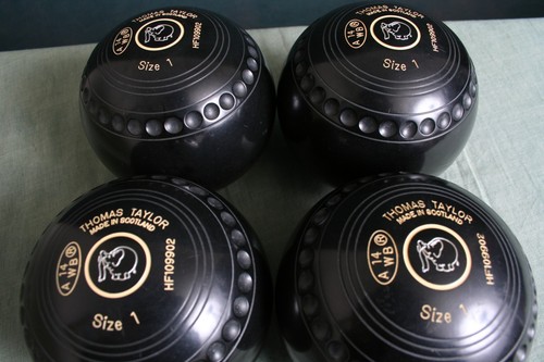 Taylor ace size bowls - taylor,