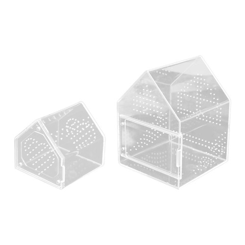 Jumping spider enclosure - spider,