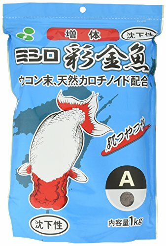 Mishiro goldfish azayaka - mishiro,