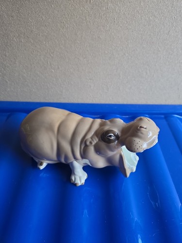 Large szeiler yawning hippo - yawning,