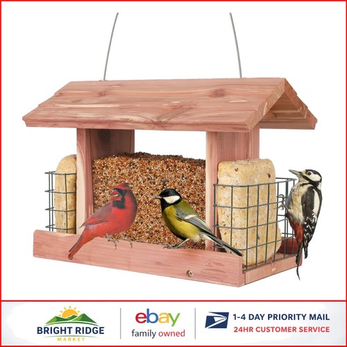 Spacious cedar bird feeder - cedar,