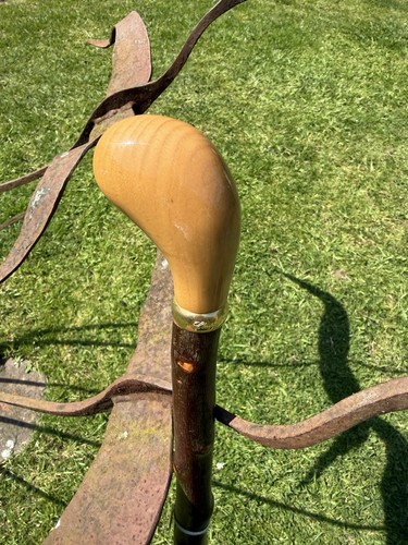 Hazel walking stick classic - hazel,