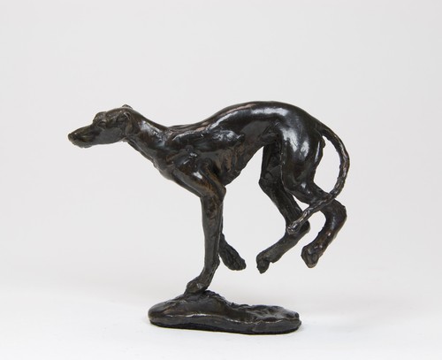 Greyhound lurcher jumping - lurcher,