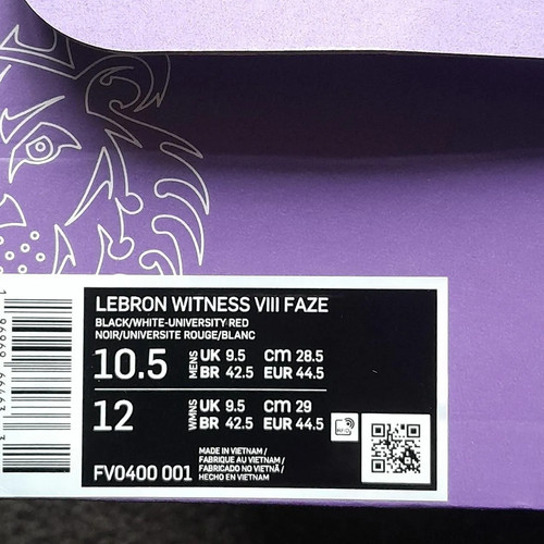 Lebron witness faze trainers - lebron,