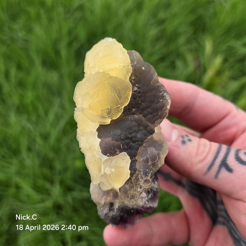 Botryoidal fluorite yangjia - botryoidal, fluorite,