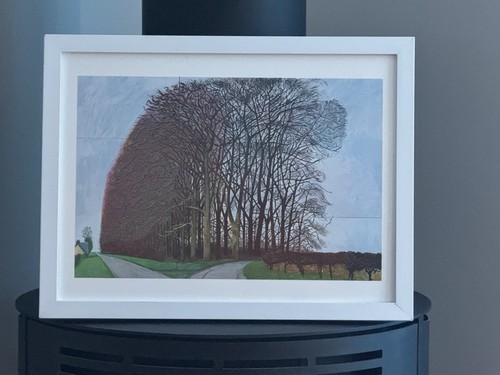 David hockney bigger - david, trees