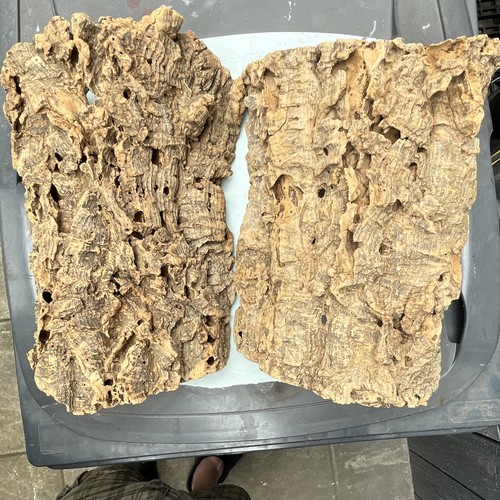Natural cork bark - natural,
