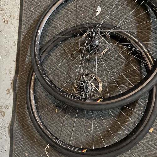 Hed belgium plus - ,