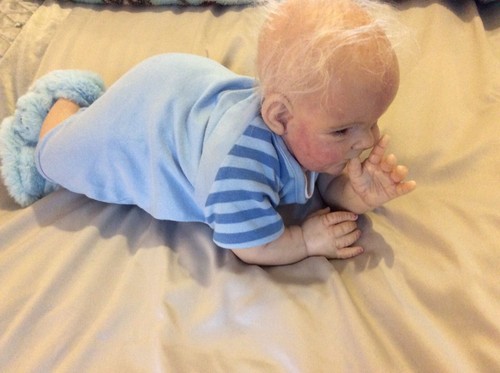 Reborn baby bonnie - reborn,