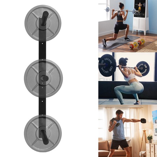 Weight plate storage rack - rack, wall