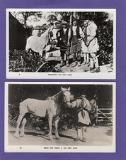 4 Widecombe Fair Horse Social