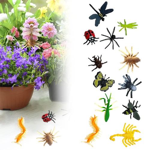 12x plastic insect model - 12x,