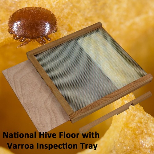 National bee hive - national,