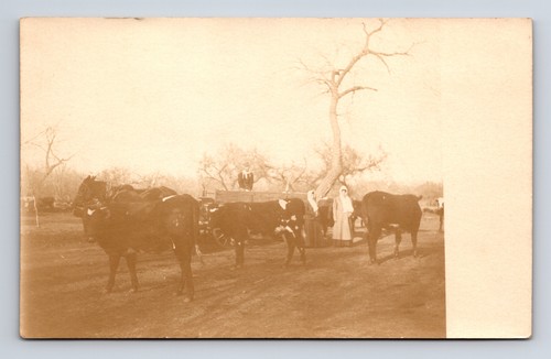 Rppc cattle farmers horse cart - farmers,