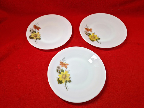 Jaj pyrex autumn - autumn, 3