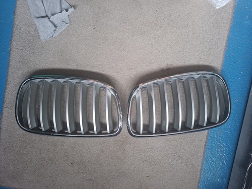 Bmw kidney grille n s - &, n/s