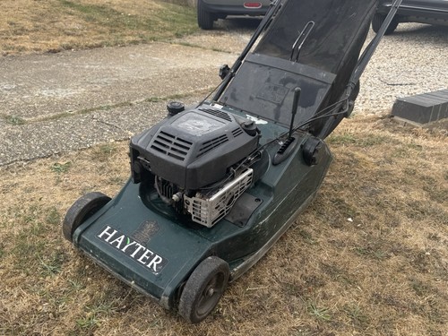 Hayter harrier - hayter, 48