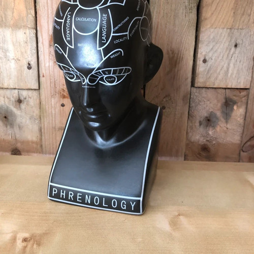 Phrenology head black - phrenology,