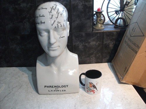 Phrenology head fowler 17 - l.n.fowler, 17"