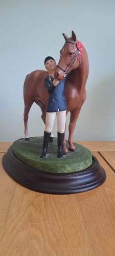 British horse society - horse,