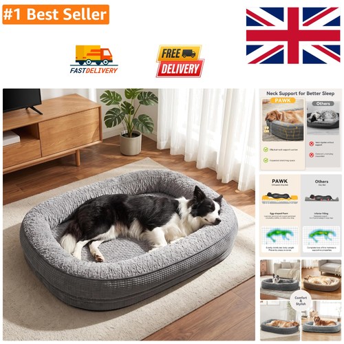 Elegant large dog - elegant,