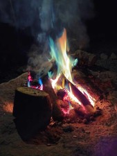 Christmas Novelty Authentic