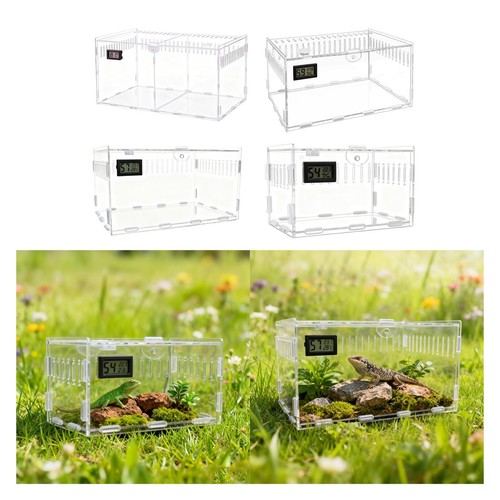 Acrylic spider enclosure - acrylic,