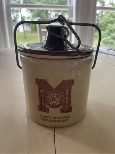 Vintage mississippi state - vintage,