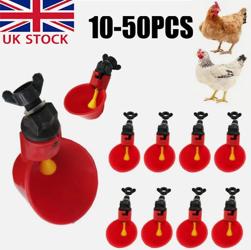 50pc automatic chicken - 10-50pc,