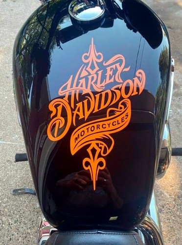Harley davidson fuel tank - davidson,