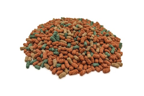 10kg premium koi pond food - 10kg,