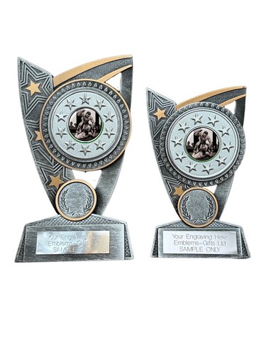 Mma cage fighting award - mma, (j)
